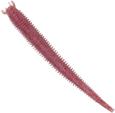 Zacht Vis Aas - Kunstaas Zandworm - Zoutwater Vissen - Hol Lichaam Realisme - 10cm - Helder Rood Gevlekt