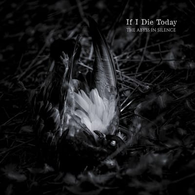 If I Die Today - The Abyss In Silence (CD)