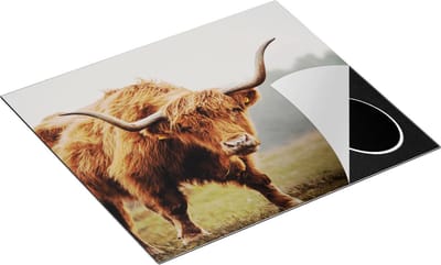 Chefcare Inductie Beschermer Schotse Hooglander met Hoorns - 60x50 cm - Afdekplaat Inductie - Kookplaat Beschermer - Inductie Mat