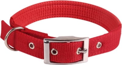 Nobleza Hondenhalsband - Maat XS - Verstelbaar 30 / 35 cm - Honden halsband - Honden halsbanden - Puppyhalsband - Halsband puppy - Rood