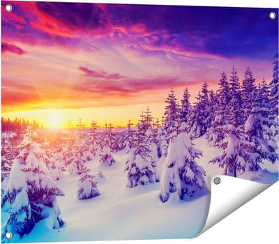 Gards Tuinposter Zonsondergang in het Sneeuw Bos - 80x60 cm - Tuindoek - Tuindecoratie - Wanddecoratie buiten - Tuinschilderij