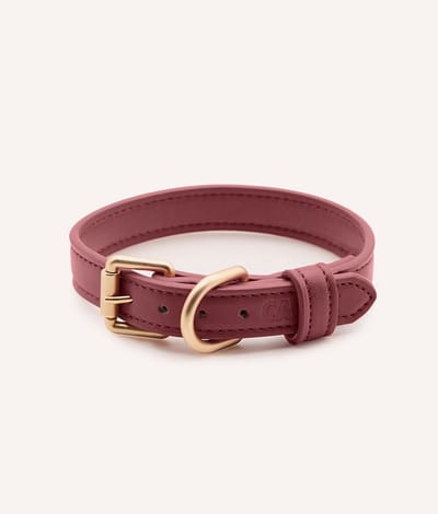 Vegan leren halsband – Bordeauxrood – Comfortabel & verstelbaar – Jala