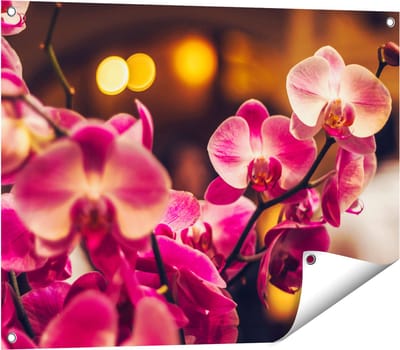 Gards Tuinposter Roze Orchidee Bloemen - 80x60 cm - Tuindoek - Tuindecoratie - Wanddecoratie buiten - Tuinschilderij
