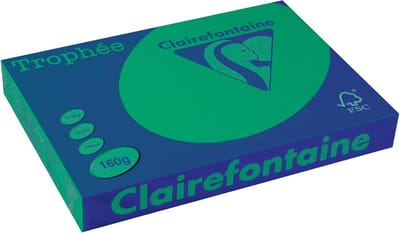 Clairefontaine Trophée Intens, gekleurd papier, A3, 160 g, 250 vel, dennengroen