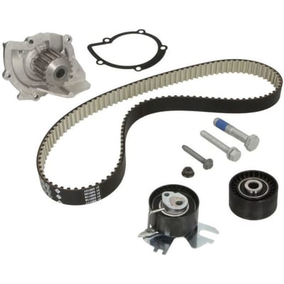 Schaeffler Ina Waterpomp + distributieriem set INA 530 0558 31