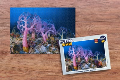 Puzzel Koraal onder water - Legpuzzel - Puzzel 500 stukjes
