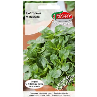 Mâche Verte De Cambrai graines de légumes frais PREMIUM 2g