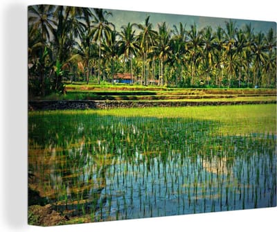 Rijstvelden en palmbomen in Azie Canvas 90x60 cm - Foto print op Canvas schilderij (Wanddecoratie woonkamer / slaapkamer)