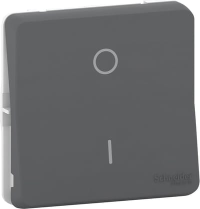 Tweepolige schakelaar - Modulair - Antraciet - Mureva Styl - Schneider Electric - MUR35034