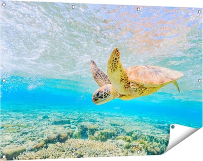 Gards Tuinposter Schildpad Zwemt in de Zee bij het Rif - 120x80 cm - Tuindoek - Tuindecoratie - Wanddecoratie buiten - Tuinschilderij