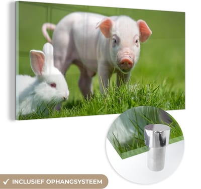 MuchoWow® Glasschilderij 40x20 cm - Schilderij acrylglas - Biggetje - Konijn - Dieren - Foto op glas - Schilderijen