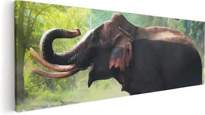 Artaza Canvas Schilderij Olifant In Rivier - 60x20 cm - Wanddecoratie Dieren - Muurdecoratie Jungle - Kamer Accessoires