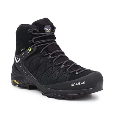 Schoenen Salewa