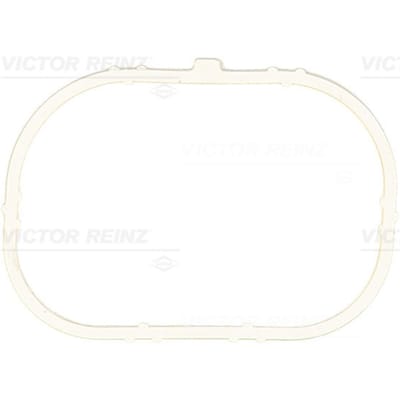 Victor Reinz Pakking, inlaatspruitstuk REINZ 71-37913-00