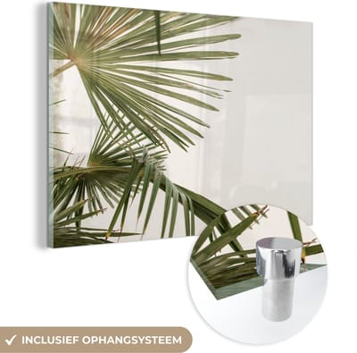 MuchoWow® Glasschilderij 150x100 cm - Schilderij acrylglas - Bladeren - Palmblad - Tropisch - Zomer - Foto op glas - Schilderijen