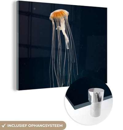 MuchoWow® Glasschilderij 160x120 cm - Schilderij acrylglas - Kwal - Zeedier - Tentakels - Foto op glas - Schilderijen