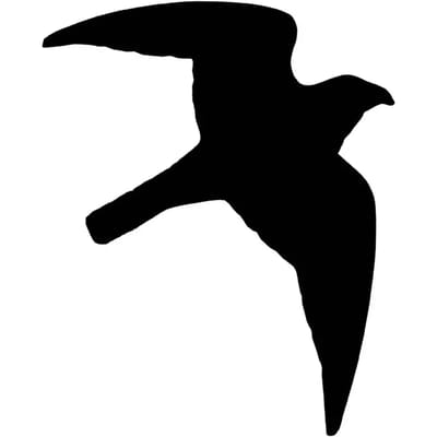 Etiketten Nobby Pet Bird Of Prey (x10)