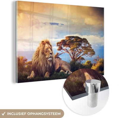 MuchoWow® Glasschilderij 60x40 cm - Schilderij acrylglas - Leeuw - Schilderij - Afrika - Foto op glas - Schilderijen