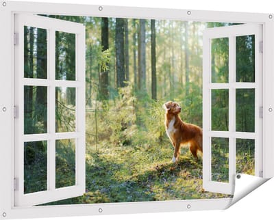Gards Tuinposter Doorkijk Retriever Hond in het Bos met Zon - 150x100 cm - Tuindoek - Tuindecoratie - Wanddecoratie buiten - Tuinschilderij