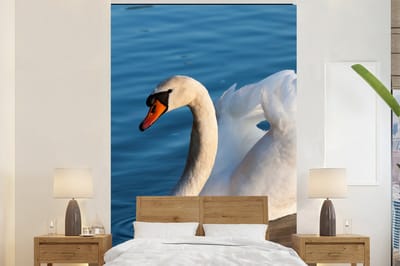Behang - Fotobehang Zwaan - Water - Vogel - Wit - Breedte 180 cm x hoogte 280 cm