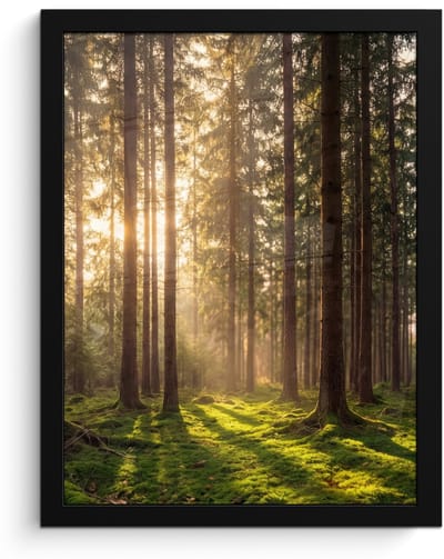 Poster in lijst - Fotolijst 30x40 cm - Posters - Bos - Gras - Zonlicht - Posterlijst zwart - Decoratie - Wanddecoratie woonkamer - Muurdecoratie slaapkamer