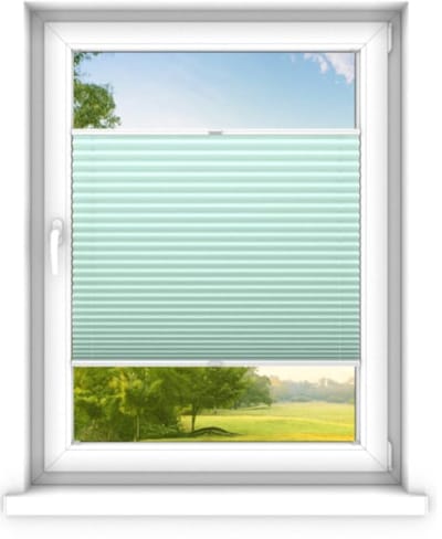 time4blinds - Plisségordijn zonder boren op maat gemaakt - Vouwgordijn - Plisségordijn privacy en zonwering - Eenvoudige installatie - Kant-en-klaar plisségordijn - 30x60 cm - Munt