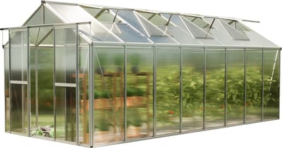 GFP tuinkas SAPHIR 8 aluminium 259x513 cm, 6 mm kanaalplaten polycarbonaat, stabiel & weerbestendig