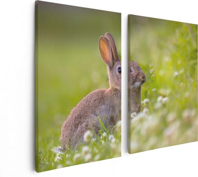 Artaza Canvas Schilderij Tweeluik Konijn Tussen De Witte Bloemen - 80x60 - Foto Op Canvas - Canvas Print