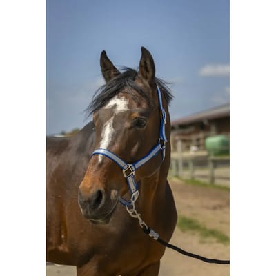 Zacht nylon halster voor paarden Norton