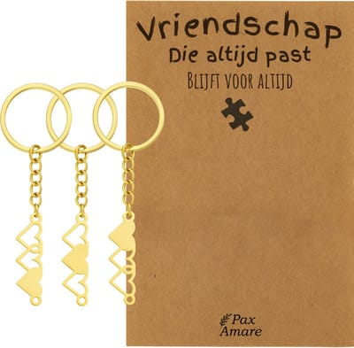 BFF Sleutelhanger voor 3 'Vriendschap die altijd past' - Hartjes - Sleutelhanger set op Cadeau Kaartje - Goudkleurig - Vriendschap Symbool - Pax Amare