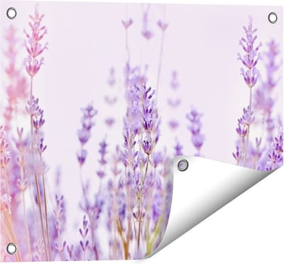 Gards Tuinposter Paarse Lavendel Bloemen - 50x40 cm - Tuindoek - Tuindecoratie - Wanddecoratie buiten - Tuinschilderij