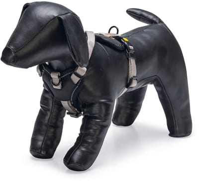 Beeztees Hondentuig Parinca Premium Y-Tuig - Hondenharnas kleine honden - Nylon - Lichtgrijs - 37-40cmx15mm