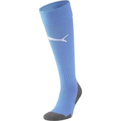 Puma Heren Team Liga Voetbalsokken (Blauw/Wit)