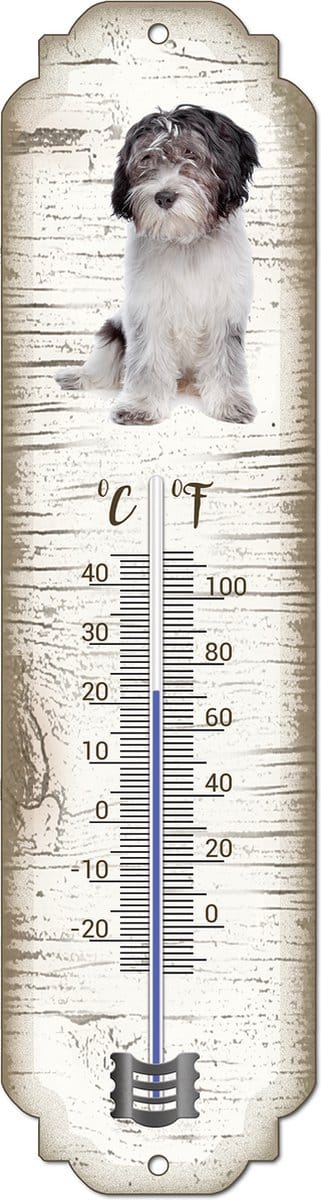 Thermometer: Nederlandse Schapendoes | Hondenras | Temperatuur binnen en buiten | -25 tot +45C
