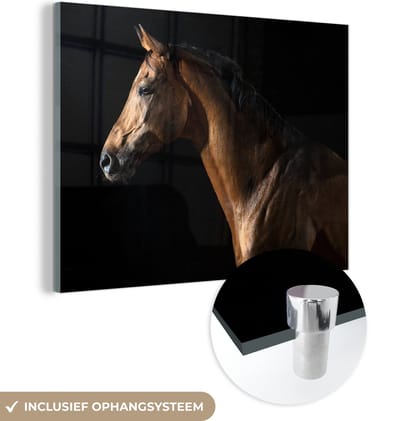 MuchoWow® Glasschilderij 160x120 cm - Schilderij acrylglas - Paard - Dieren - Nacht - Zwart - Foto op glas - Schilderijen