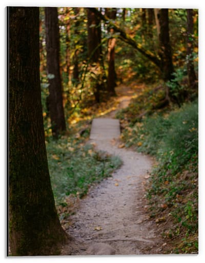 Dibond - Pad in Bos met Bruggetje - 30x40cm Foto op Aluminium (Wanddecoratie van metaal)