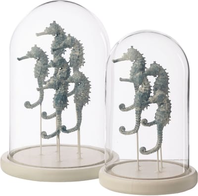 J-Line stolp Zeepaard - glas - wit/blauw - large