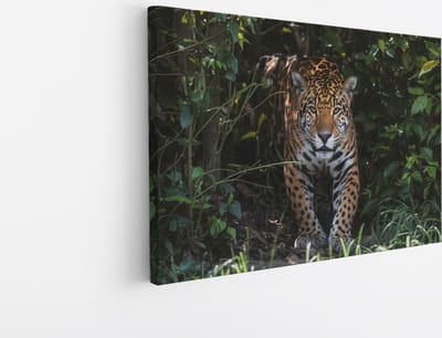 Saammp Canvas Schilderij - Luipaard tussen de struiken - Natuur - Dieren - 45x30 - Foto op canvas - Wanddecoratie - Muurdecoratie Woonkamer - Slaapkamer decoratie - Canvas Print