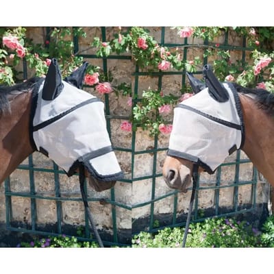 Paardenmuts voor weidepaarden T de T