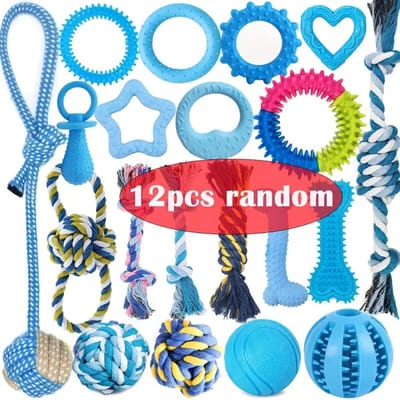 Livano Honden Speelgoed - Hond - Speelgoed - Dog Toy - Pluche - 12st