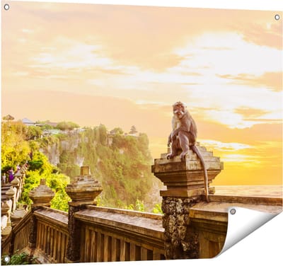 Gards Tuinposter Aap op de Uluwatu Tempel in Bali - 100x80 cm - Tuindoek - Tuindecoratie - Wanddecoratie buiten - Tuinschilderij