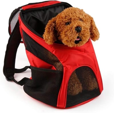 Dieren Rugzak - Draagtas Kat - Reizen met huisdier - Ventilatie en zicht - 30x28x33 cm - Rood