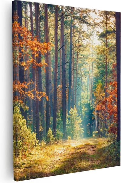 Artaza Canvas Schilderij Bos - 80x100 cm - Groot - Wanddecoratie Herfst - Muurdecoratie Landschap - Schilderijen Op Canvas Natuur