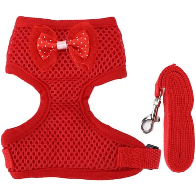 Harnais et Laisse Réglables pour Poulet Confortable Respirant Gilet pour Poule Coqs M Rouge S rouge