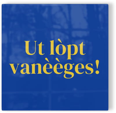 Tegeltje Tilburg Ut lòpt vanèèges! - blauw geel - tegeltje stad - tegeltje met tekst