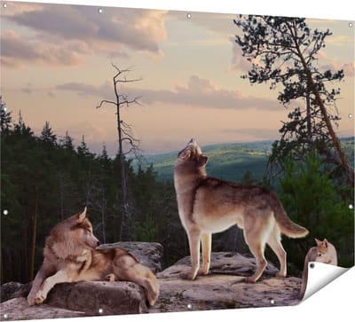 Gards Tuinposter Drie Wolven op een Rots in het Bos - 160x120 cm - Tuindoek - Tuindecoratie - Wanddecoratie buiten - Tuinschilderij