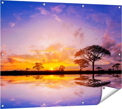 Gards Tuinposter Silhouet van Bomen tijdens Zonsondergang - 120x90 cm - Tuindoek - Tuindecoratie - Wanddecoratie buiten - Tuinschilderij