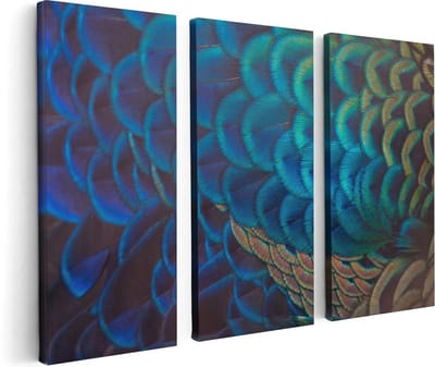 Artaza Canvas Schilderij Drieluik Kleurrijke Pauw Veren Van Dichtbij - 120x80 - Foto Op Canvas - Canvas Print