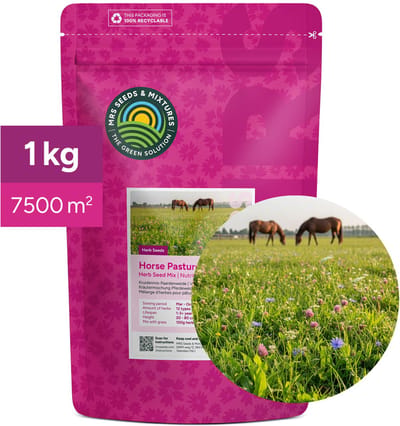 MRS Kruidenmix paardenweide - 1 kg voor ca. 7.500 m² - Mengsel van 12 soorten kruiden - Gezondheid & weerstand verhogend - Voor een smakelijke weide - Eenvoudig te zaaien