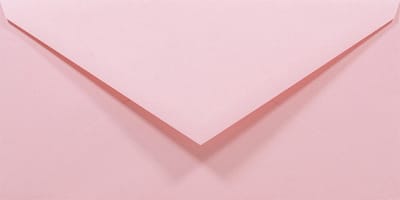 Gladde roze enveloppen A4 - 110 x 220 mm - 50 stuks - NK natgelijmde - 80 gram - Rainbow - Netuno